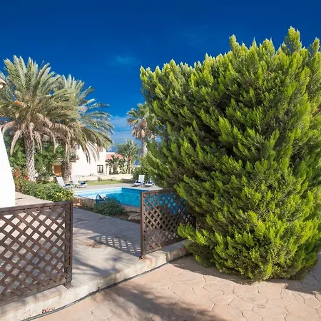 Joy * Πρωταράς